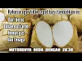 Download Lagu Cara Masak Ketupat Dari Beras Hanya Direbus 40 Menit \u0026 Tidak Cepat Basi, Padat \u0026 Matang Sempurna