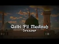 Download Lagu Qalbi Fil Madinah (sped Up \u0026 reverb)| Vocal Only \u0026 Lyrics |قلبي في المدينة |Maher Zain \u0026 Harris J