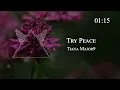 Tiana Major9 - Try Peace