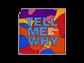 Armin van Buuren feat. Sarah Reeves - Tell Me Why (Extended Mix)