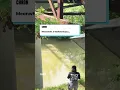 Alligator Spotted Swimming in Houston s Buffalo Bayou