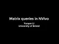 Matrix queries in NVivo