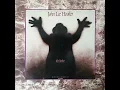I’m In The Mood (feat. Bonnie Raitt) - John Lee Hooker