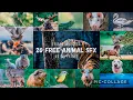 Download Lagu 20 Free ANIMAL Sound Effects PACK  //  Free to DOWNLOAD  // No COPYRIGHT