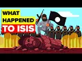 The Real Reasons ISIS Collapsed