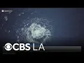 Mysterious bubbling off Hermosa Beach coast puzzles residents