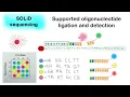 SOLID sequencing Supported oligonucleotide ligation and detection