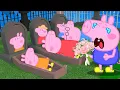 Peppa Pig Cartoon: When Peppa sees a blind person crossing the street alone, what will Peppa do?