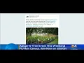 Adopt-A-Tree Event Planned In Miami-Dade County