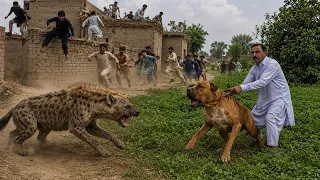 Dog Breeds That Would Die Protecting You From The Wild⭐⭐⭐⭐⭐