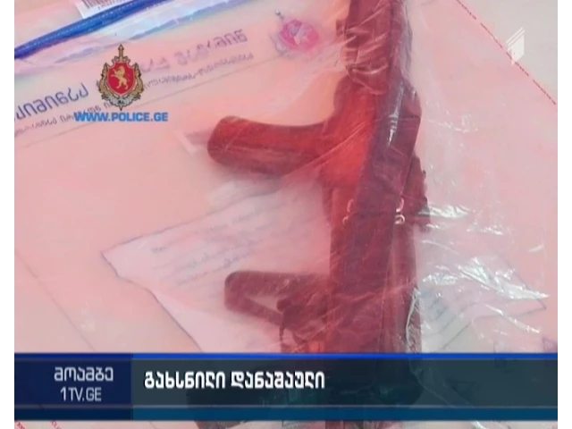 დაკავება იარაღის და საბრძოლო მასალის მართლსაწინააღმდეგო შეძენა-შენახვის ბრალდებით