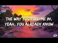 Adrian Fyrla, Palm Monkey, Amè - DON'T KILL MY VIBE (Lyrics)