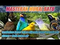 Download Lagu terpercaya !! MASTERAN|tembakan kasar tajam dijamin cepat masuk dan anti strees + jeda suara air