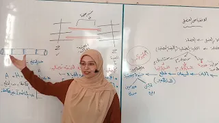 شرح آلية الانقباض العضلي بالتفصيل كما لم تسمعها من قبل أحياء تالتة ثانوي 2026 