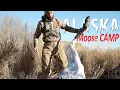 Download Lagu That's BOWHUNTING! Alaska Moose Hunting with a Traditional Bow