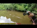 SEKALI LEMPAR LANGSUNG DI SAMBAR IKAN BESAR SAMPAI PANAS DINGIN || EFEK LAMA GK MANCING BRO...