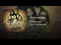 Perfect Love Song - Morgan Heritage
