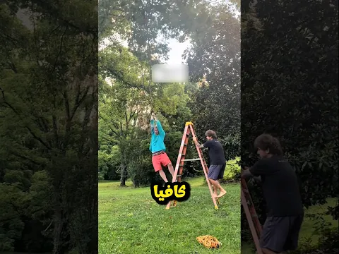 حاولوا كسر غصن ميت بطريقة غريبة… والنهاية كانت صادمة! 😂🌳