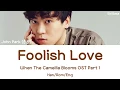 Download Lagu John Park (존 박) - Foolish Love (When The Camellia Blooms OST Part 1) Lyrics (Han/Rom/Eng)