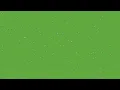 Procedural Ecosystem Simulation Predator-Prey Dynamics in Unity