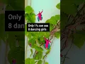 can you spot 8 dancing girls? #trending #viral #new #eyechallenge #watermagic #magic #quiztime
