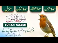 Lagu Surah Yaseen | Surah Rehman | Surah Waqiah | Surah Al-Mulk | Manzil Dua | Dua | Episode_160