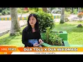 Download Lagu REMIX NIAS | DUA TOLU KALI DUA WAOMASI | COVER BY NIDAR ZALUKHU