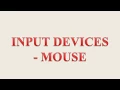 Input Devices Mouse