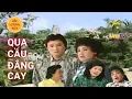 Download Lagu Cải Lương Qua Cầu Đắng Cay | NSND Lệ Thuỷ, Minh Vương, Phượng Liên, Phương Hồng Thuỷ