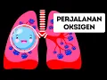 Download Lagu Perjalanan Oksigen di Dalam Tubuh