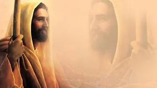 هايدى منتصر عالم صعب 