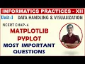 Pyplot Most Important Questions Chapter 4 Plotting data using Matplotlib IP Important Questions