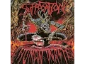 Download Lagu Suffocation - Infecting The Crypts
