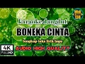 Download Lagu BONEKA CINTA KARAOKE DANGDUT AUDIO KUALITAS TERBAIK
