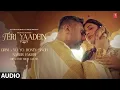 Teri Yaadein Full Audio  Yo Yo Honey Singh   Grini   Nargis Fakhri   Bhushan Kumar   GLORY