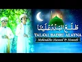 Download Lagu Tala al Badru Alayna | Mohiuddin \u0026 Muneeb | Rabi ul Awal 2021| Naat | Lasani Sarkar