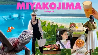 미야코지마 VLOG 🐢🌺 거북이 실제로 만남..✨ 숙소·맛집·숨은 스팟까지 싹 다 알려줄게요 (4박 5일) ✚ 구독자 이벤트 있음! | dear.jerry
