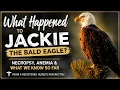 Jackie the Bald Eagle s Necropsy What We Know So Far What Doctors Found