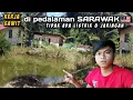 beginilah kehidupan TKI yang kerja di perkebunan kelapa sawit Sarawak Malaysia