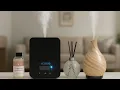 What Kind of Diffuser is best Reed vs ultrasonic vs waterless hotel