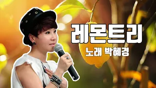 박혜경 레몬트리 Lemon Tree 2021 송년음악회 직캠 