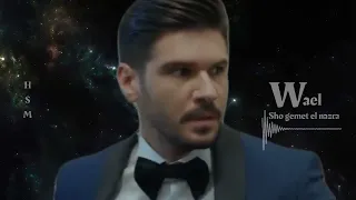 وائل كفوري شو قيمة النظرة 