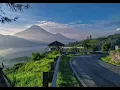 story wa this is my way tony q