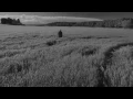 Los Punsetes - Arsenal de Excusas (Video Oficial)
