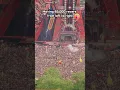Download Lagu Defqon. 1 2023 Crowd Control ⬅️ Left Right ➡️