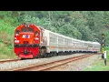 Download Lagu KERETA API PANJANG‼️ MENEMUKAN 30 KERETA API DI PERLINTASAN DAN TIKUNGAN