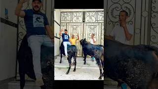 ابطال مبيشغلناش عيال    جزار الحلو   متابعه  اكسبلور  ملوك الشغله   دندنها