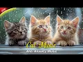 Download Lagu Relaxing Cat Tunes for Anxiety: The Best Music to Keep Your Kitty Calm and Stress-Free 🎶