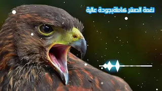  اريد توصلوني       مشترك   اجمل نغمة   رنين موبايل    نغمات تركية حزينة          نغمة الصقر كاملة دندنها