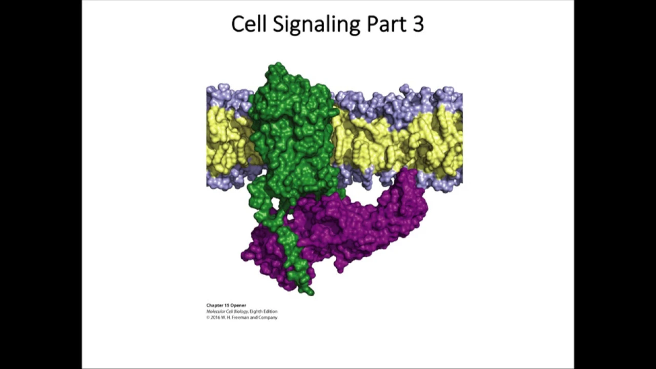 BIOL 4610 Clas Lecture 03_12_20